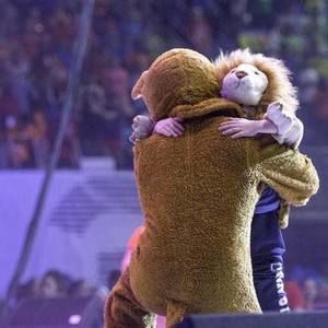 Meet your Posher, Jamie